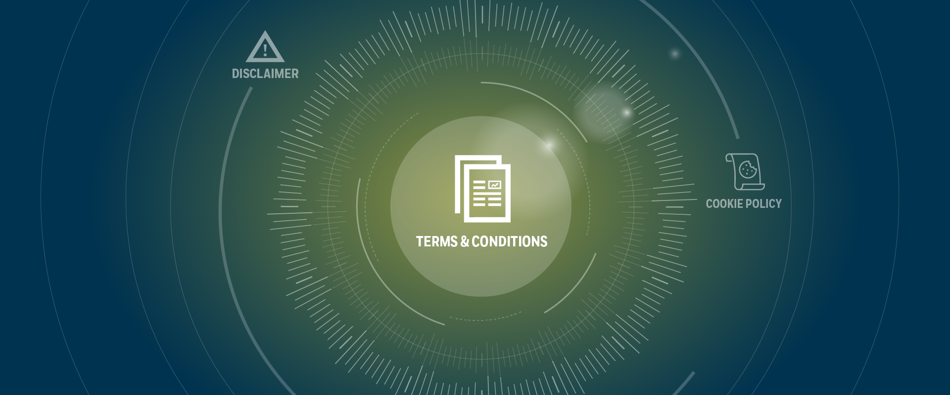 Terms and Conditions banner